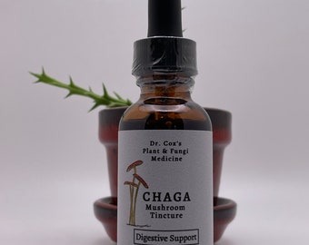 Organic Chaga Mushroom (fruiting body) Tincture
