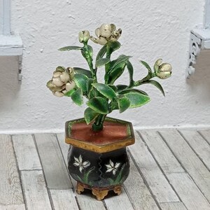Op de afbeelding: Miniatuur potplant met witte bloemen en groene bladeren. De zwarte pot heeft een gouden rand en voet, met witte bloemmotieven. De plant staat op een houten oppervlak.