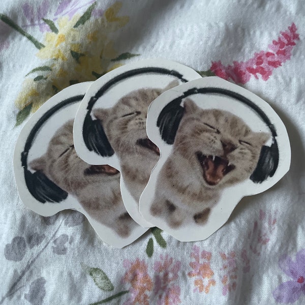 Jamming cat sticker