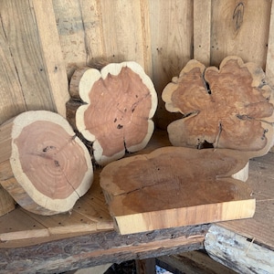 May include: Four irregularly shaped wooden slabs with natural edges. The wood has a reddish-brown hue with lighter-colored edges. The slabs are arranged on a wooden surface, showcasing the natural grain and texture of the wood.