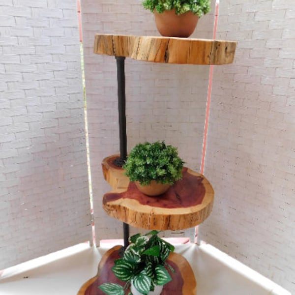 Three Tiered Live Edge Cedar Stand, Christmas Village Display Stand, Plant Stand