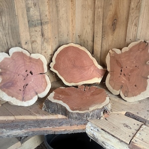 May include: Four irregularly shaped, natural wood slices with a reddish-brown interior and a lighter-colored outer edge. The wood slices are displayed against a wooden background.