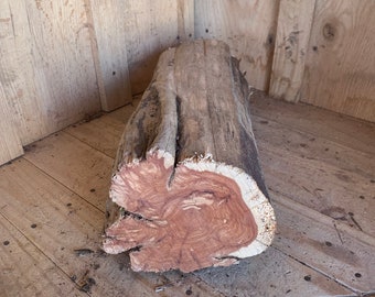Red Cedar Log 319