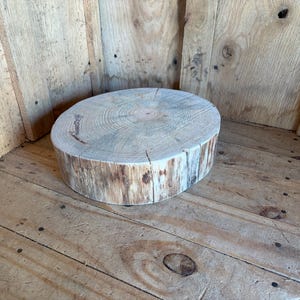 May include: A round, natural wood slice with visible growth rings and a light-colored surface. The edges show the bark and natural wood grain. This rustic piece is likely used for decorative purposes or as a base for displaying items.
