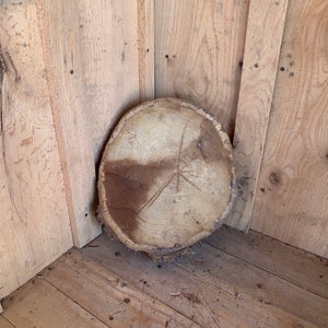 Locust wood slice 170