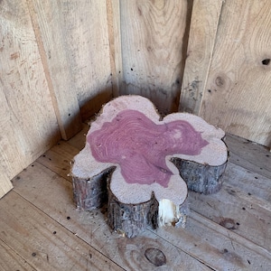 Unique Natural Cedar Stump 206
