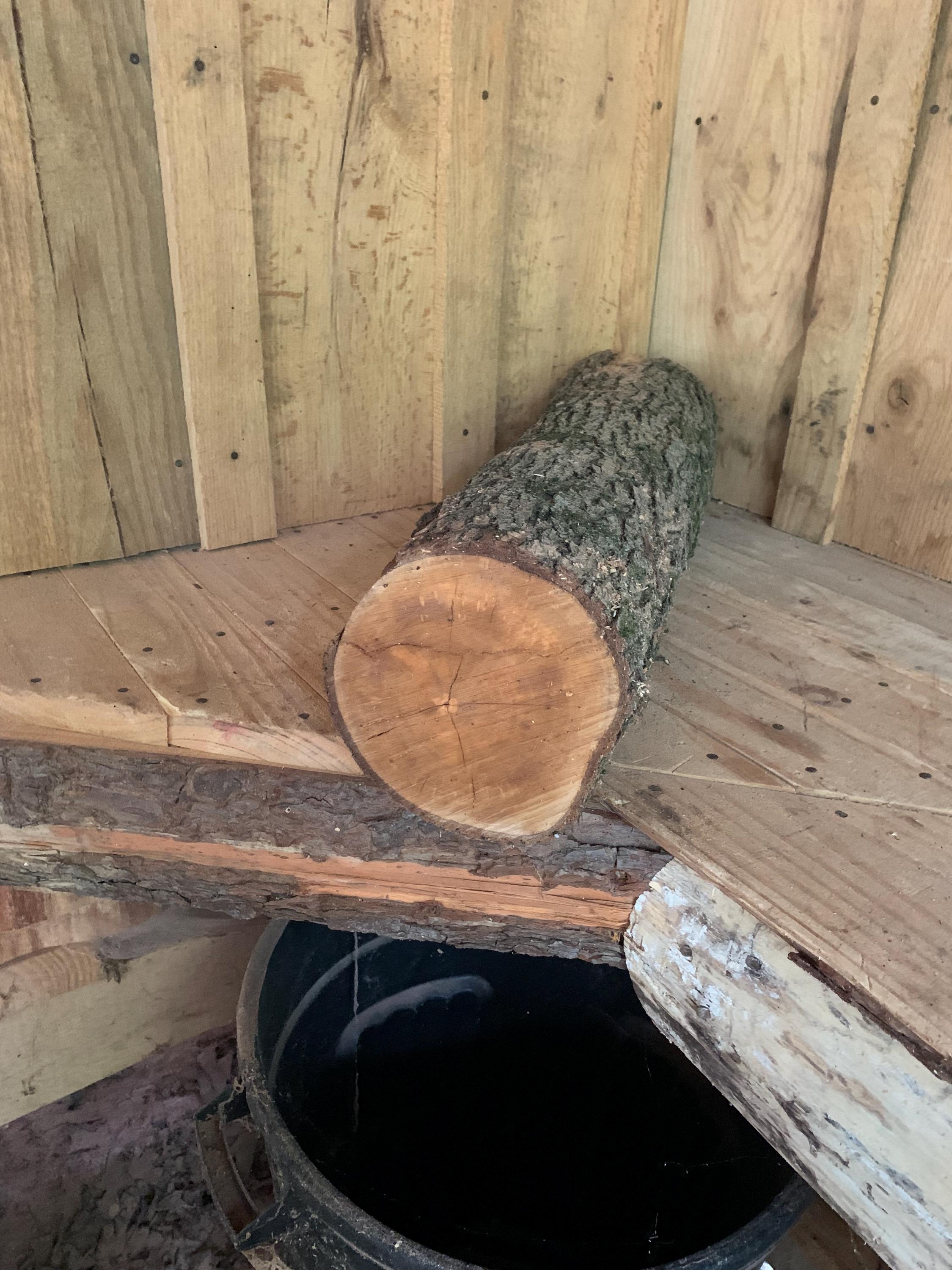 Bradford Pear Log 101 - Etsy