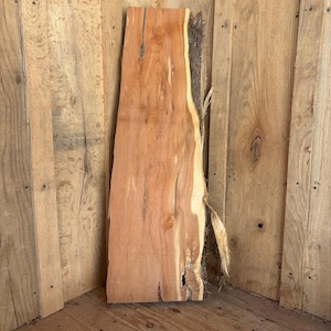 Thick Dry Decayed Cedar Slab for Epoxy Fill