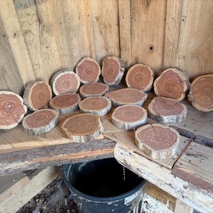May include: A collection of natural wood coasters, each with a unique shape and grain pattern. The coasters are various sizes and shapes, with a reddish-brown hue. They are arranged on a wooden surface.