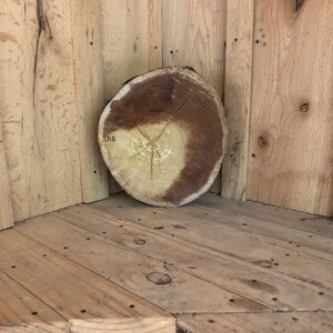Locust wood slice