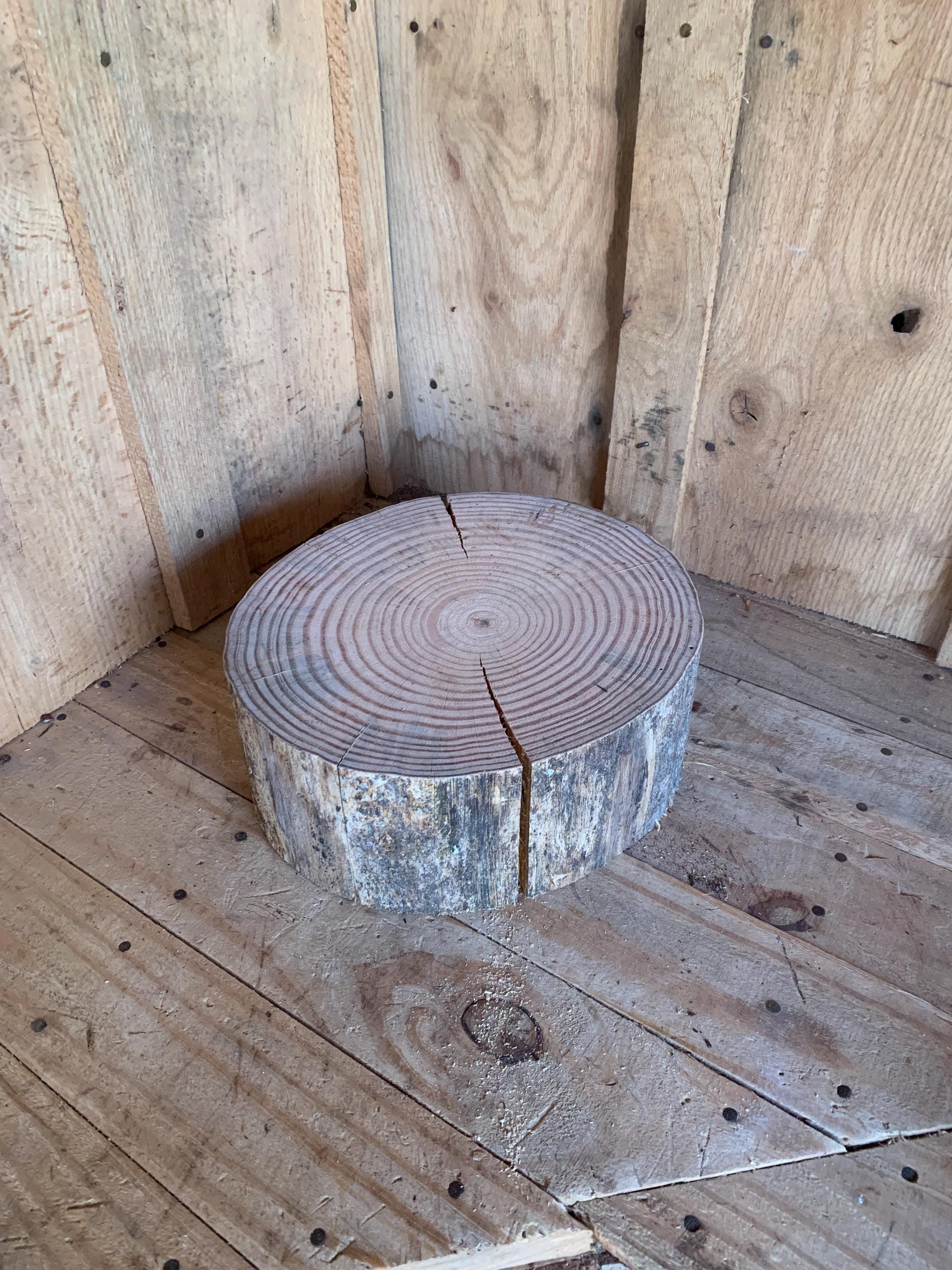 Pine stump 329