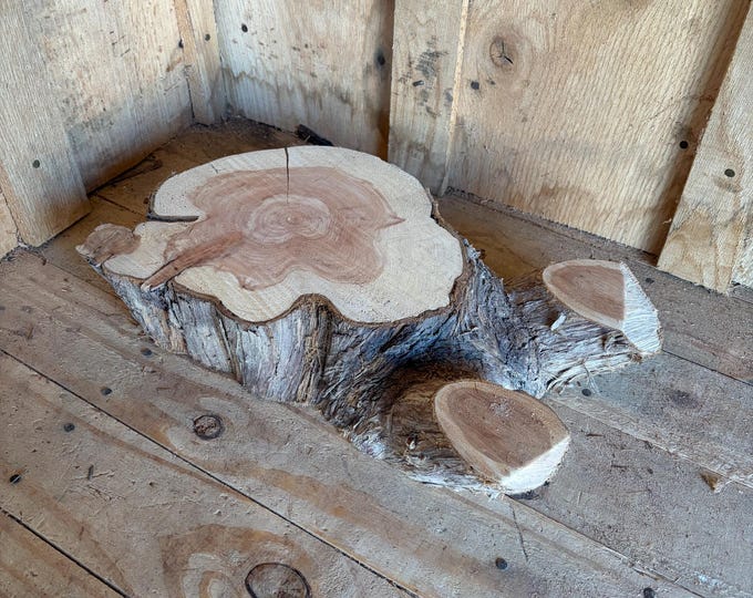 Bradford Pear Log 101 - Etsy
