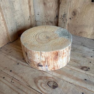 May include: A round, light-colored wooden stump with visible growth rings and a split on top. The stump is cylindrical and has a rough, natural texture. The wood has varying shades of tan and brown. The stump is likely used for decorative or functional purposes.