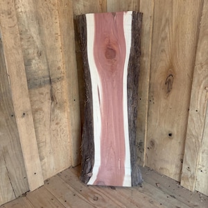 May include: A rectangular, unfinished wooden slab with a natural edge. The center features a reddish-pink hue, bordered by a white stripe and a dark brown bark edge. The wood grain is visible, showcasing the natural beauty of the material.