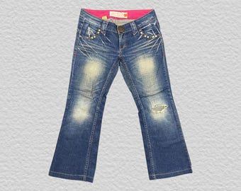 Red Pepper Jeans Japanese Low Rise Skinny Denim Embroidered