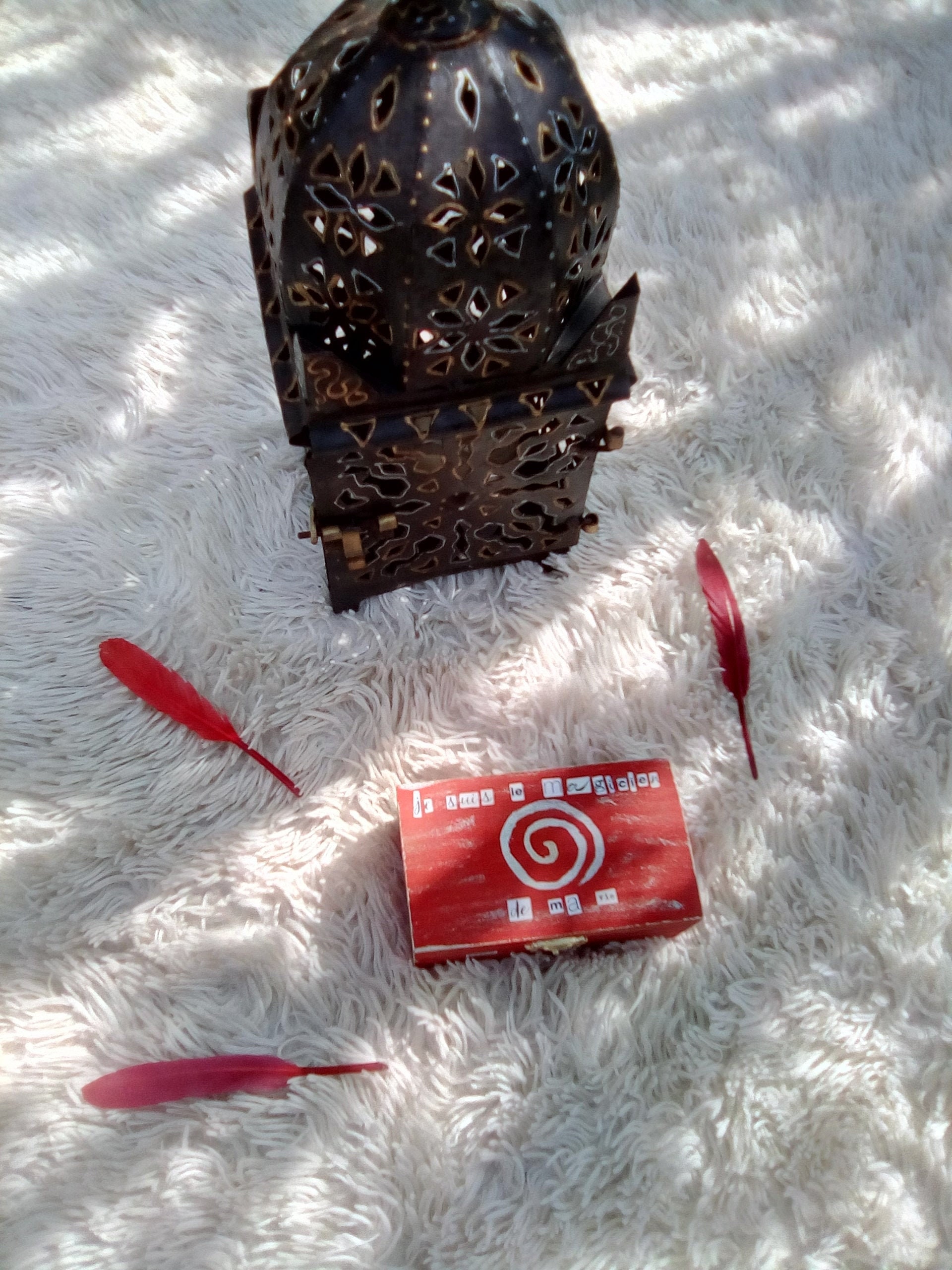 Boîte DivineJe Suis Le Magicien de Ma Vie