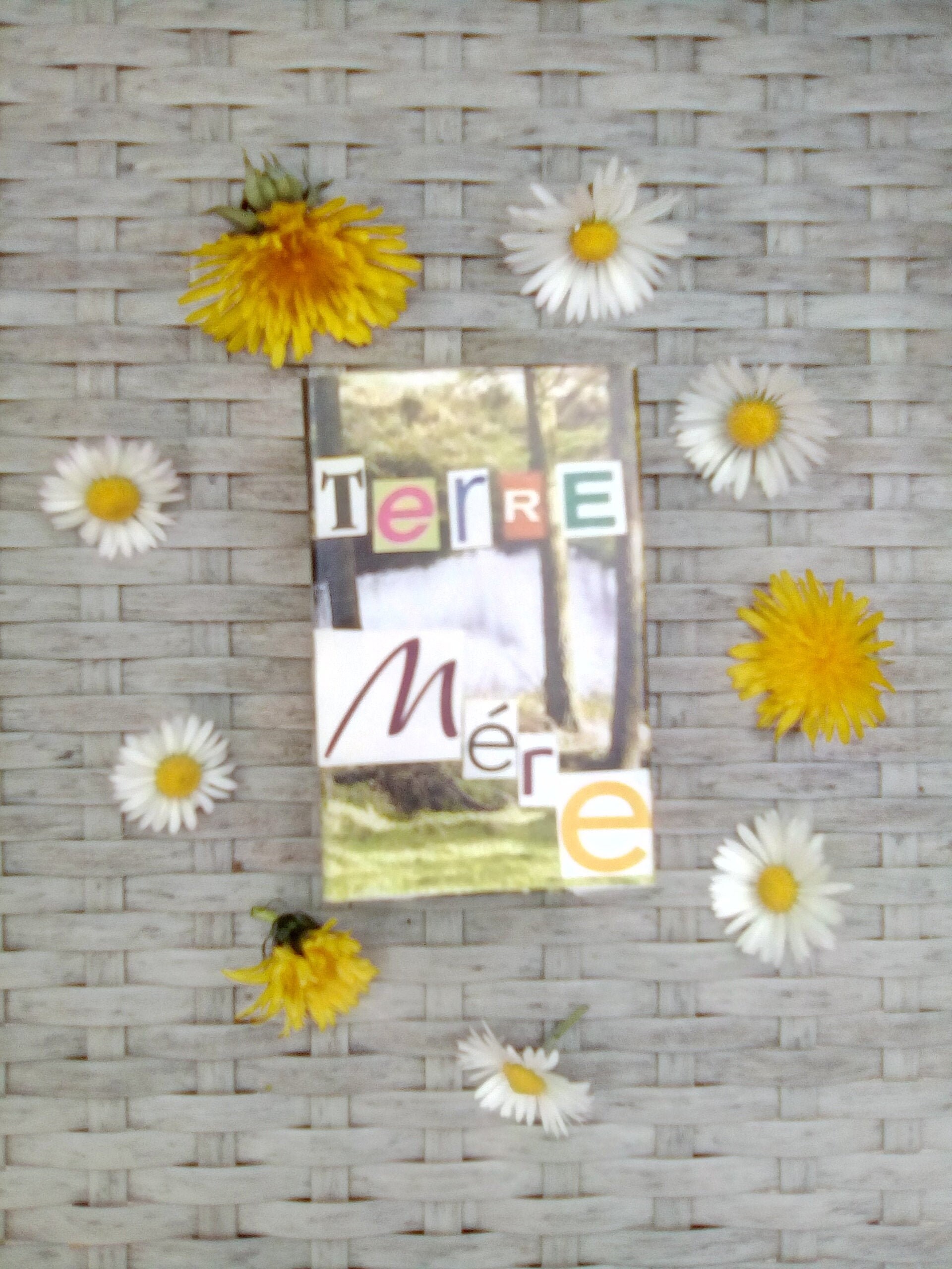 Petite Boîte à Message Terre Mère