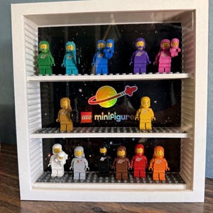 Custom Brick Figure Display Case