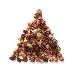 Può includere: Una composizione di fiori secchi, pigne e baccelli di semi disposti a forma triangolare su sfondo bianco. La composizione presenta varie tonalità di marrone, beige e rosa, creando un'estetica naturale e terrosa. La composizione assomiglia a un albero di Natale.