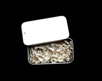 Tiny bones container- Cruelty free