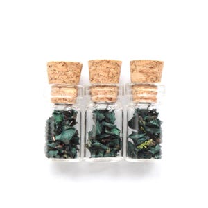 Peut inclure: Trois petites fioles en verre transparent disposées côte à côte, chacune surmontée d'un bouchon en liège brun clair. L'intérieur de chaque flacon est rempli de fragments botaniques séchés de couleur sarcelle foncée, créant un aspect uniforme.