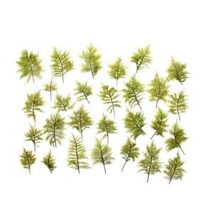 May include: A collection of small, individual green fern-like foliage pieces arranged in a grid pattern. Each piece features delicate, feathery fronds with a light to medium green colour, showcasing a detailed, branching structure on thin stems.