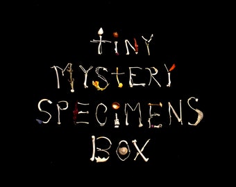 Tiny mystery wild specimens box!-Always cruelty free