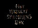 Tiny mystery wild specimens box!-Always cruelty free 