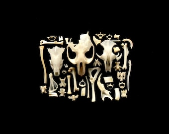 40 tiny wild animal bones and teeth - Cruelty free