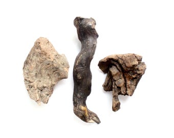 Freshwater Driftwood for Aquarium, Terrarium, or Arts & Crafts