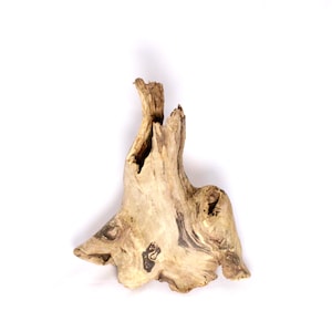 Hollow Driftwood Sculpture: Natural Wood Art, Terrarium Decor
