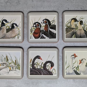 Pimpernel Marshland Birds Coasters Set of 6 Vintage English Table Mat Placemats Setting featuring Richard G Lowe painting