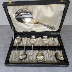 Vintage Boxed EPNS Silver Plated Fruit spoons - Dessert spoons - Vintage silver plated cutlery - dinning set - Made in England