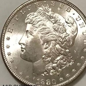 May include: A silver Morgan dollar coin with the year 1880 inscribed on the bottom. The coin features a profile of Lady Liberty with flowing hair and the inscription "E. PLURIBUS UNUM" around the top.