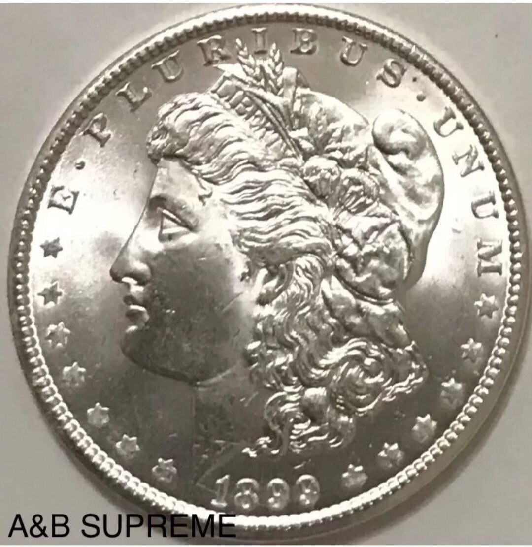 1899 morgan silver dollar - Etsy 日本