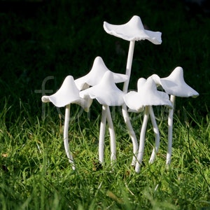 Set of 5 Mushrooms, Polymer Clay Statue, Pottery Decor, Gardening Gift Box, Garden Lovers Gift Set, Mushroom Ornament, Indoor or Outdoor