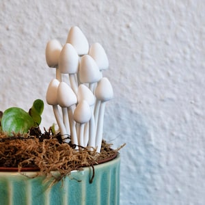Könnte beinhalten: Eine weiße Keramik-Pilzskulptur in einem grünen Topf mit braunem Moos. Die Pilze sind in einer Gruppe angeordnet, einige sind größer als andere.