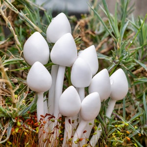 Set of 5 Mushrooms, Polymer Clay Statue, Pottery Decor, Gardening Gift Box, Garden Lovers Gift Set, Mushroom Ornament, Indoor or Outdoor