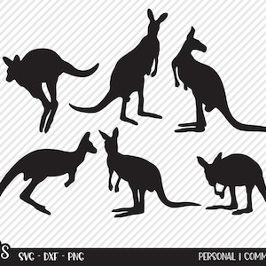 Kangaroo Bundle SVG, Cut File, Wildlife Shirt Design, Australische Tiere, Outback Zoo, Safari Tiere, Cricut, Silhouette, DXF, PNG