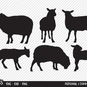 Sheep Bundle SVG, Cut File, Country Shirt Design Assets, Happy Lamb, Ram, Ewes, Ranch Life, Farmhouse Decor, Cricut, Silhouette, DXF, PNG