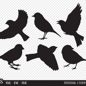 Spring Bird Bundle SVG, arquivo de corte, recursos de design de camisa ao ar livre, pássaros, Robin, pássaro azul, decoração de cabine country, Cricut, silhueta, DXF, PNG