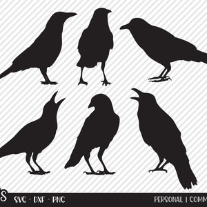 Kraai Bundel SVG, Cut File, Outdoor Shirt Design Assets, Halloween Vogels, Zwarte Kraaien, Country Cabin Decor, Cricut, Silhouet, DXF, PNG