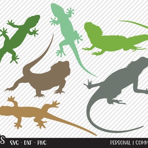 Lizard Bundle SVG, Cut File, Reptile Shirt Design, Forest Reptiles, Outdoors, Rusty Joe, Gecko, Anole, Iguana, Cricut, Silhouette, DXF, PNG