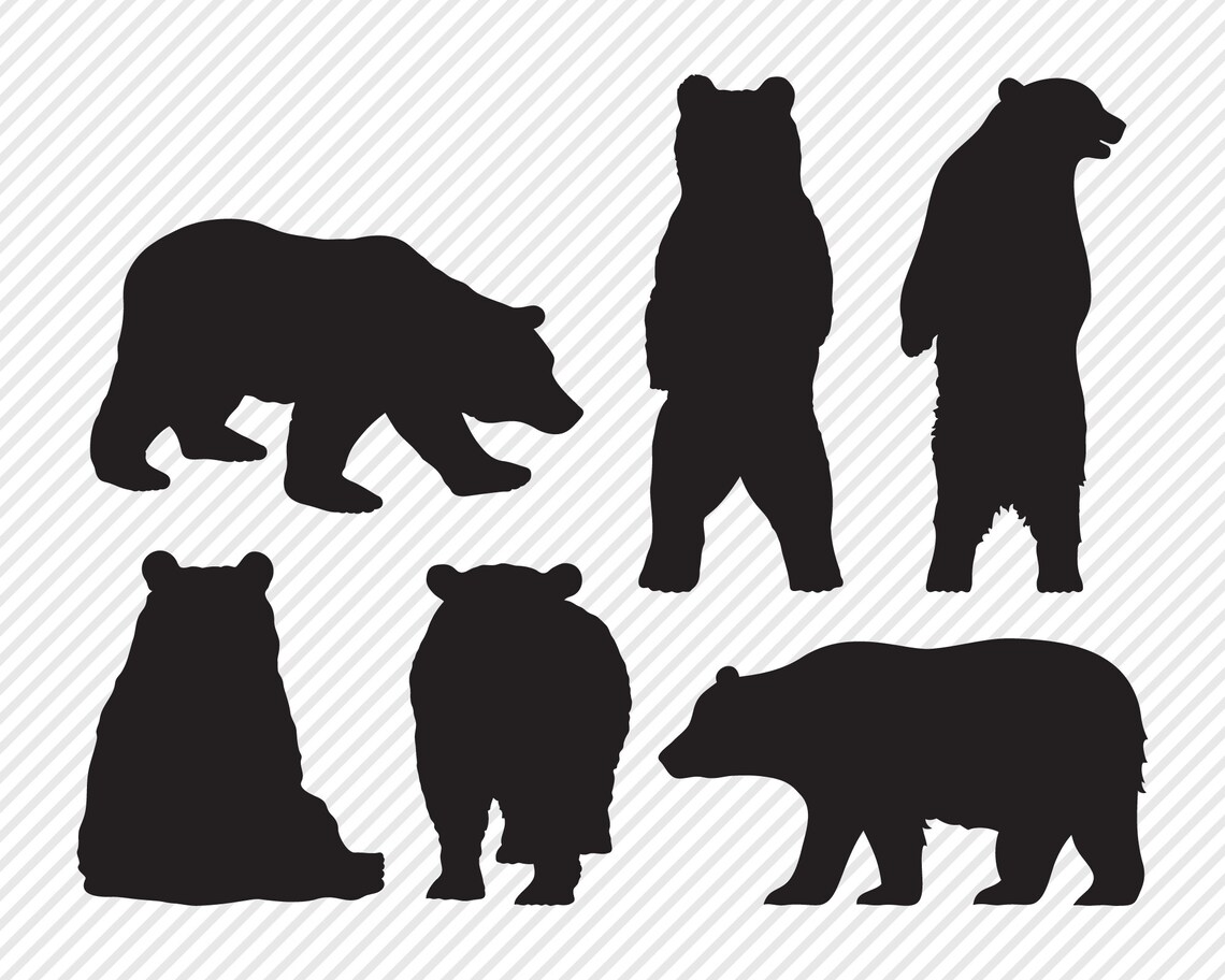 Woodland Animal Bundle SVG Cut File Outdoor Shirt Design - Etsy