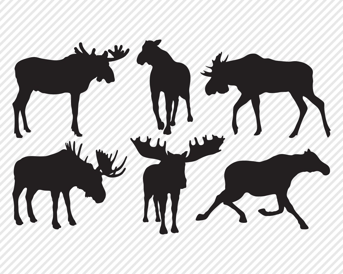 Woodland Animal Bundle SVG, Cut File, Outdoor Shirt Design Assets
