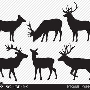 May include: Silhouettes of five deer with antlers in various poses. The deer are all black against a white background.