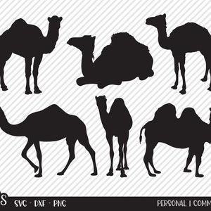 Camel Bundle SVG, Cut File, Wildlife Shirt Design Assets, Desert Oasis Animal, Cute Camels, Zoo Safari Animals, Cricut, Silhouette, DXF, PNG