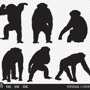 Chimpanzee Bundle SVG, Cut File, Wildlife Shirt Design Assets, Wild Jungle Animal, Cute Chimp, Zoo Animals, Cricut, Silhouette, DXF, PNG