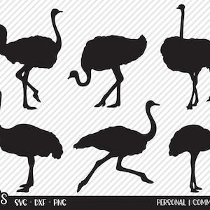 Ostrich Bundle SVG, Cut File, Outdoor Shirt Design Assets, Big Bird, Ranch Ostriches, Country Cabin Decor, Cricut, Silhouette, DXF, PNG