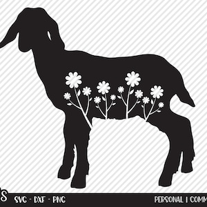 Nubian Goat Flowers SVG, Cut File, Country Shirt Design, Wildflower, Daisy, Kid, Ranch Life, Farmhouse Decor, Cricut, Silhouette, DXF, PNG